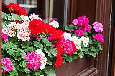 《合金装备3：重制版》全球销售突破一百万套 跨平台达成里程碑